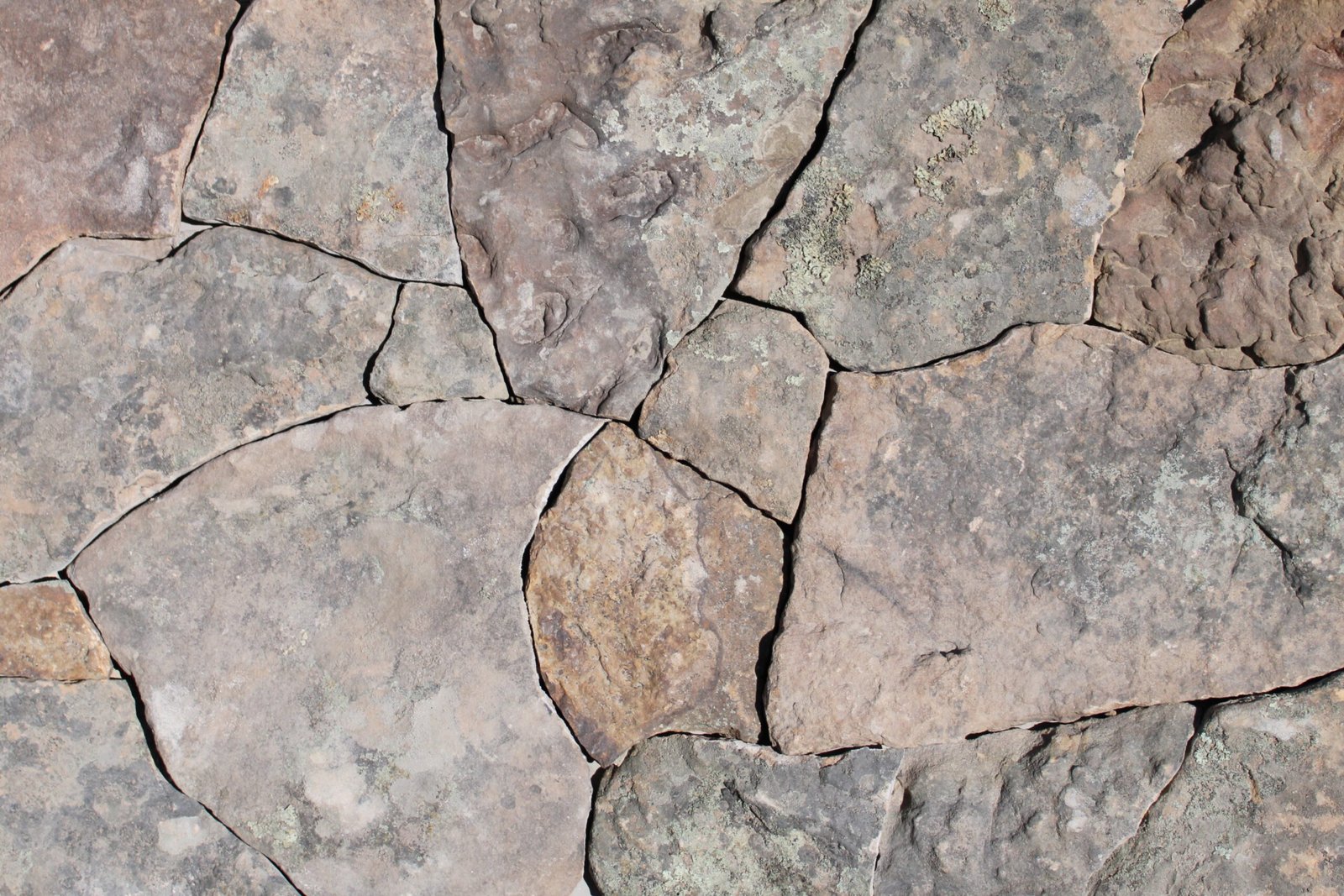 Montana Moss – Mosaic